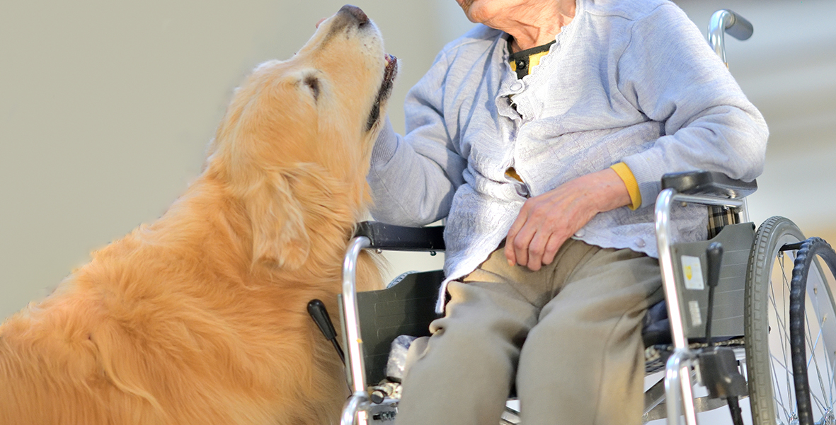 老人介護施設・母と介助犬のひととき